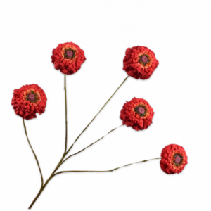 Zinnia tak rood 91cm